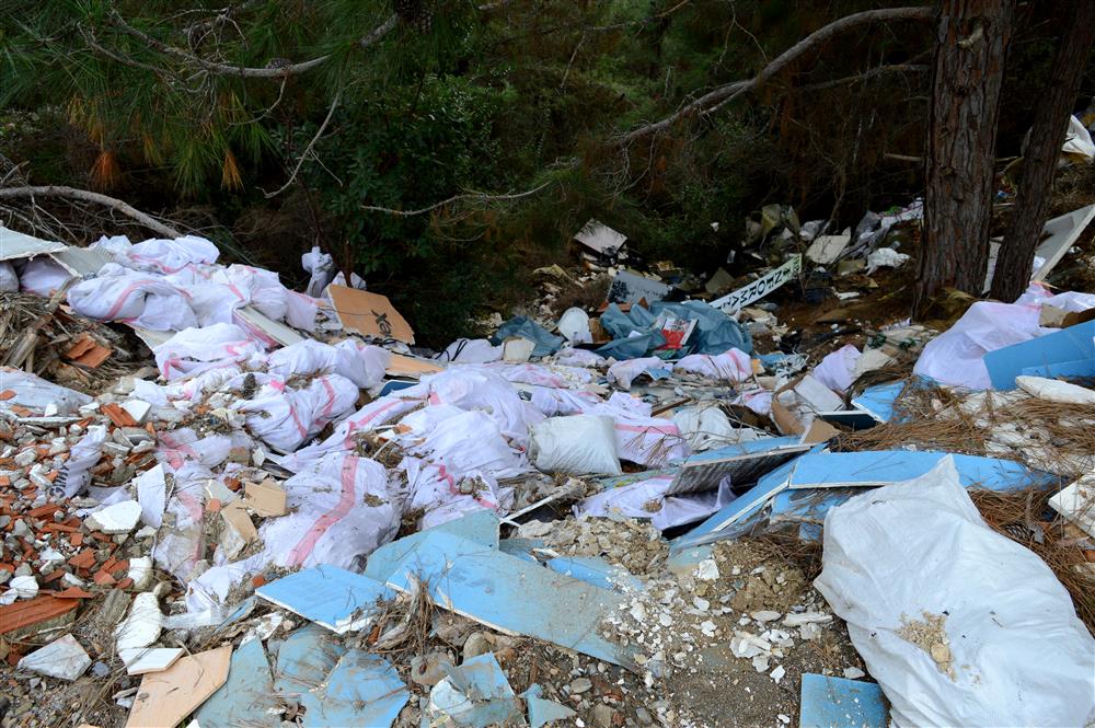 ormanda moloz 2 9c8f7