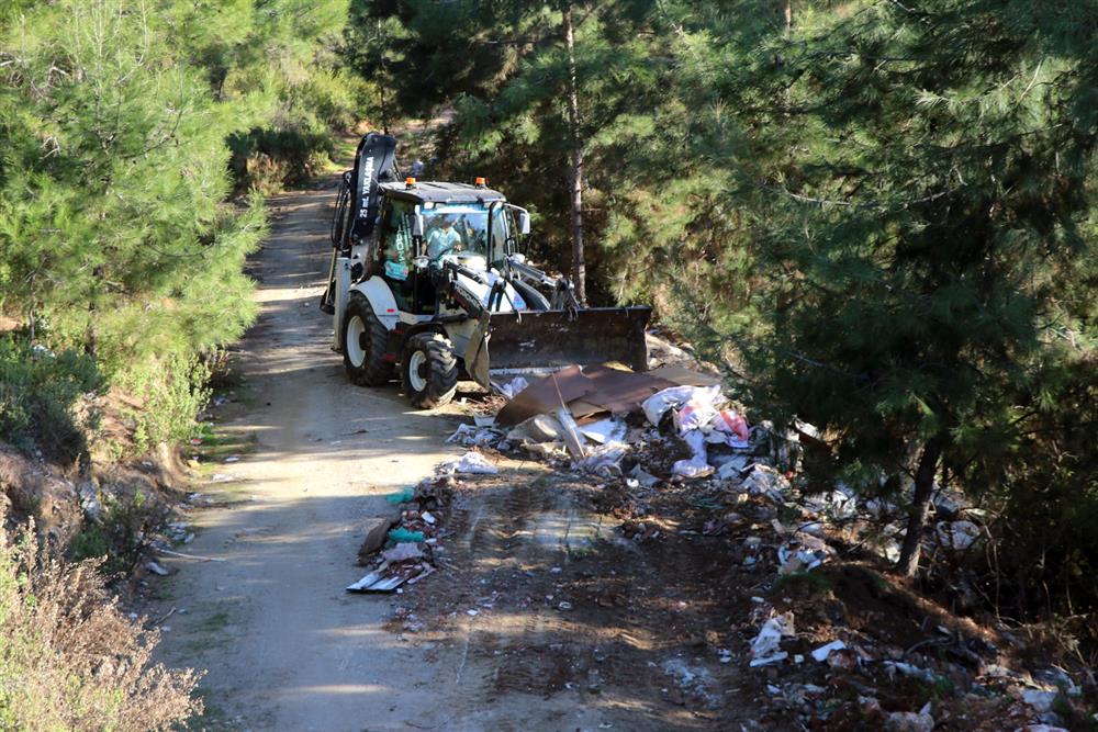 ormanda moloz 3 85f2e