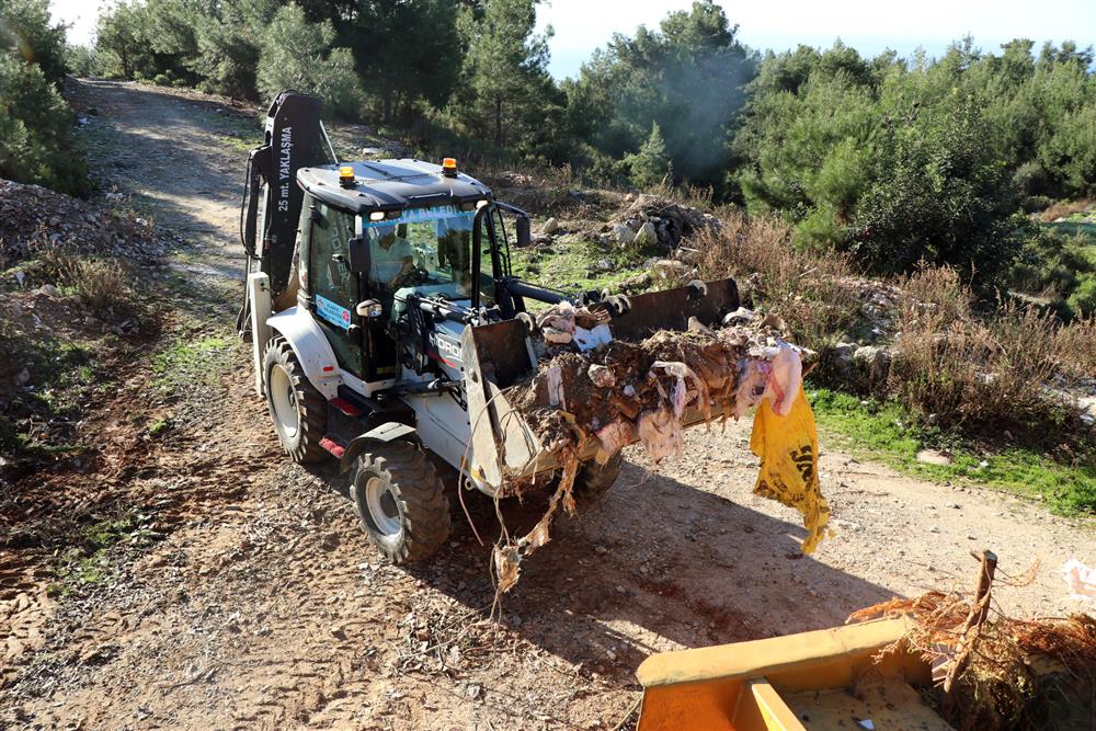 ormanda moloz 4 091f1