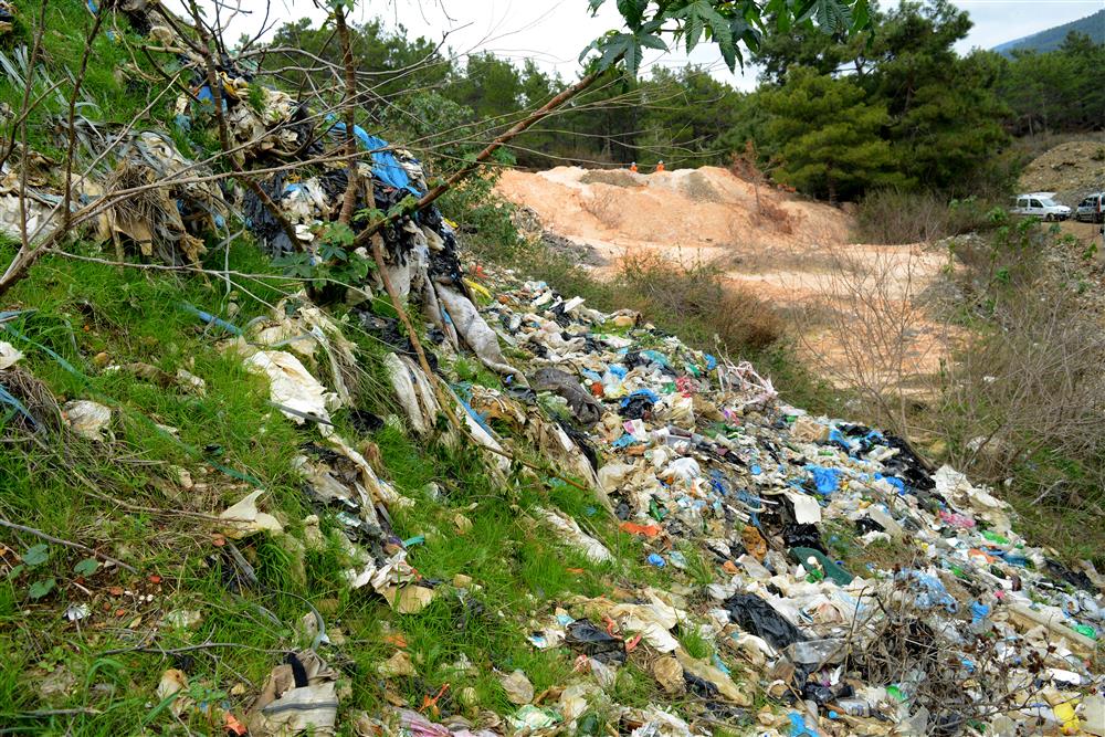 ormanda moloz 5 1bcc4