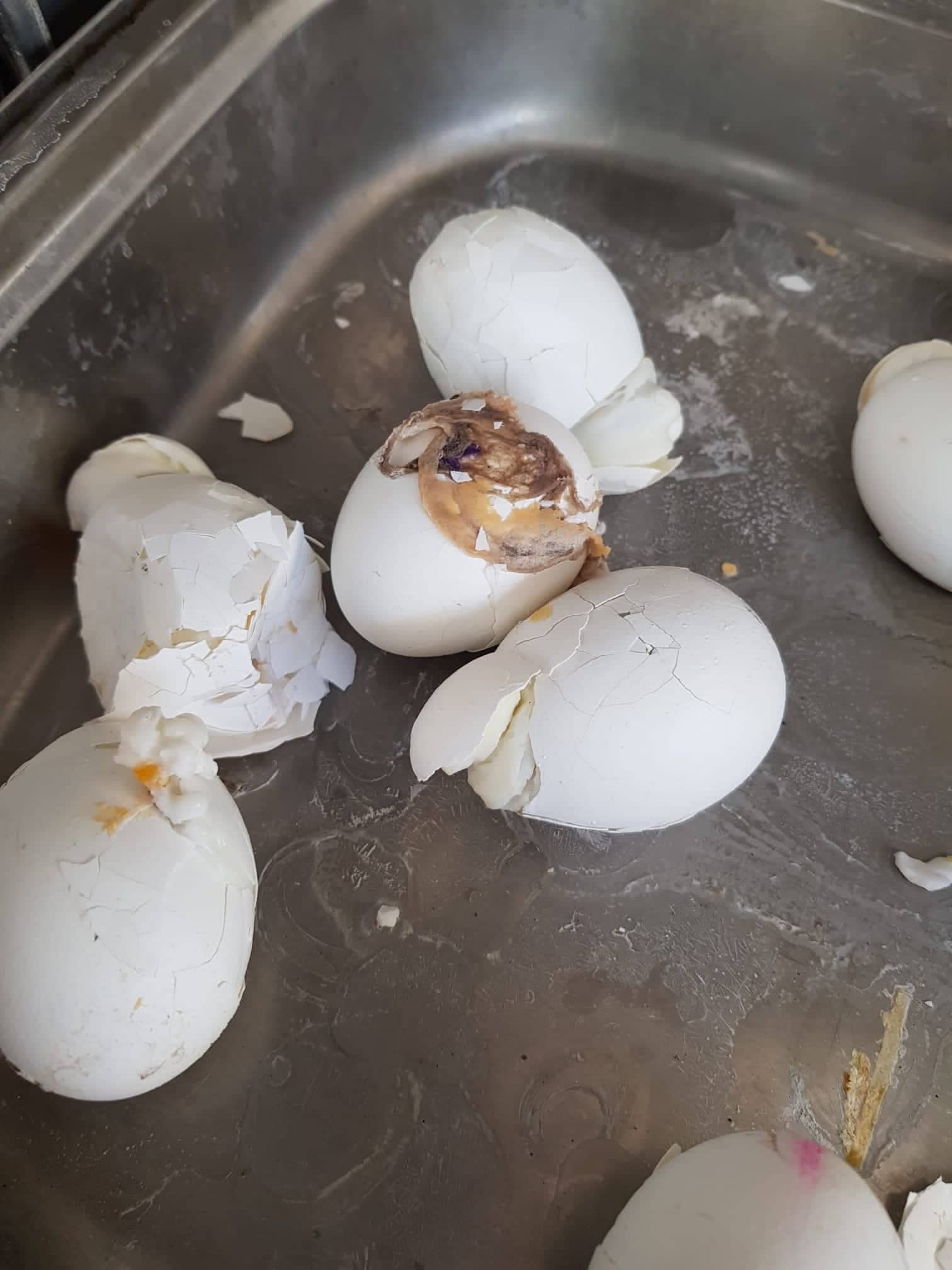 otelde rezalet 6 alt üç 366ef