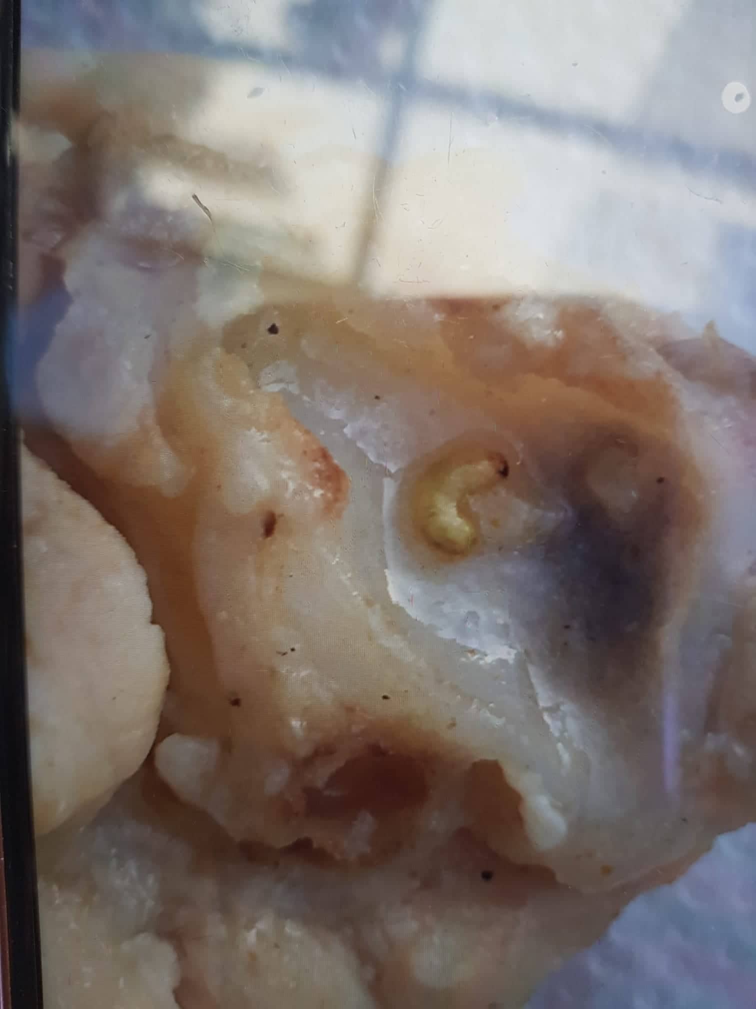 otelde rezalet alt iki 0206b