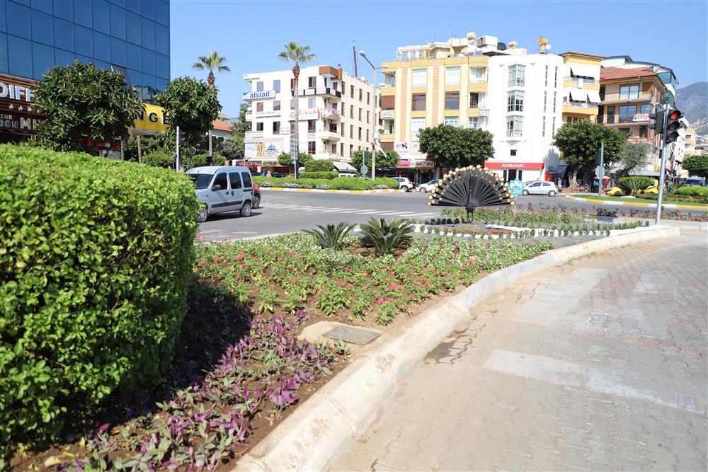 park 2 534525440733425600 c56a0