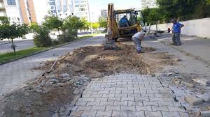 parke bakım 3 indir 3a046