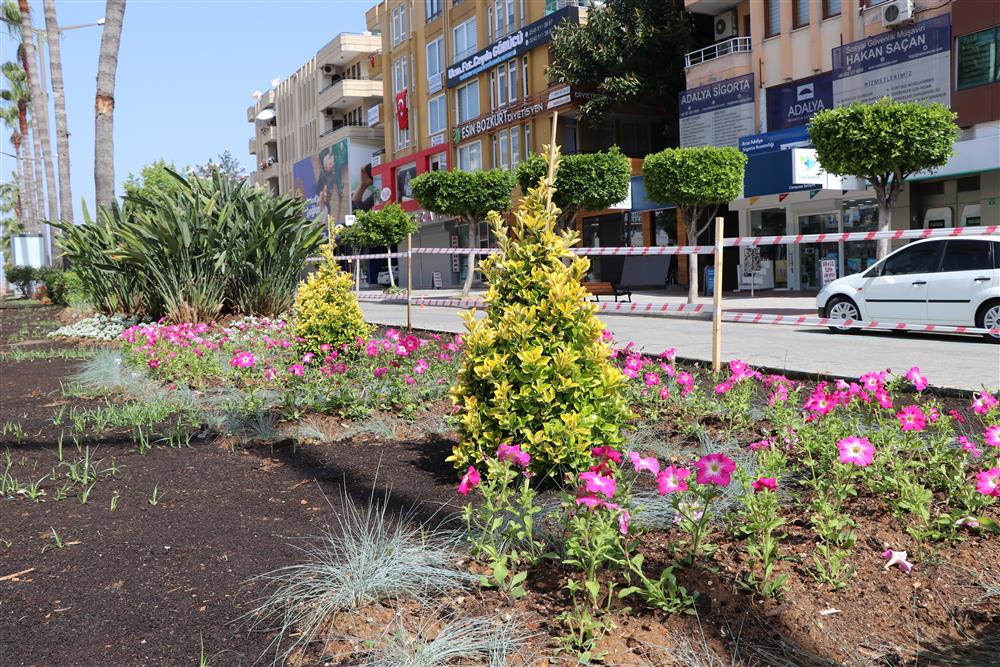 peyzaj 2 372371840289512288 9e4a2