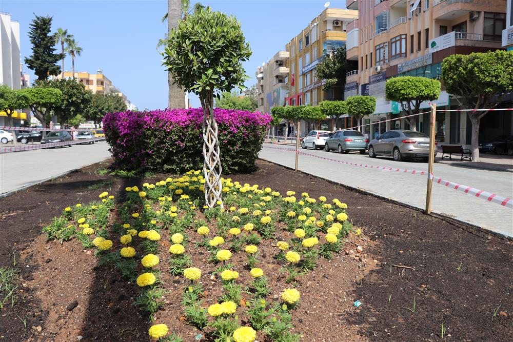 peyzaj 3 730824768126034024 0b6bf