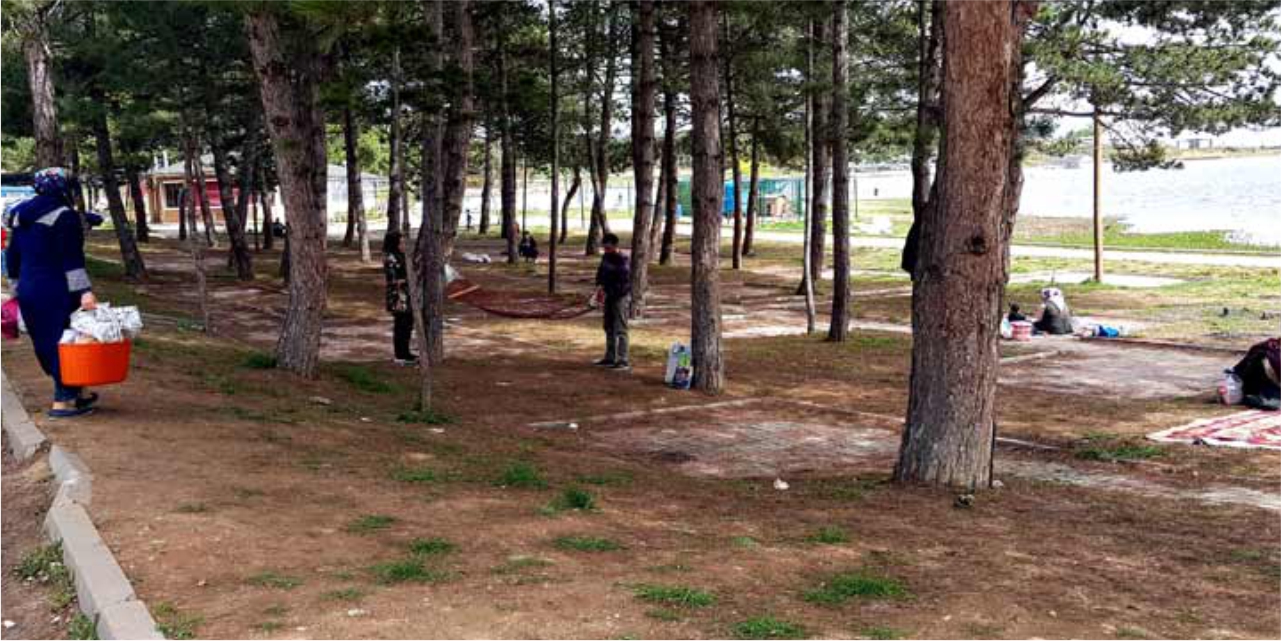 piknik 2 42313 db1cf