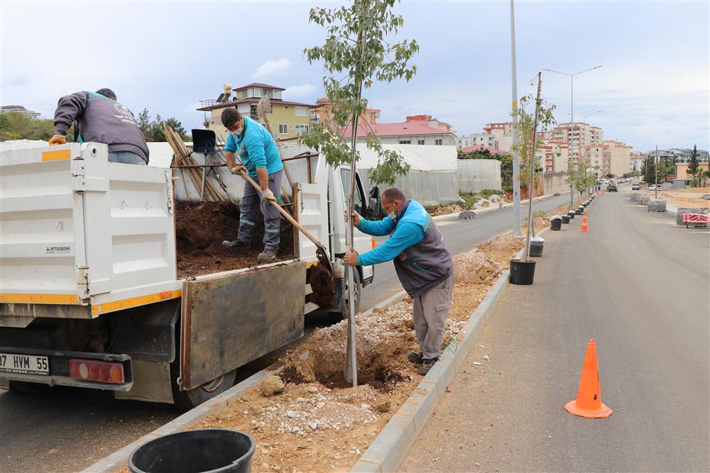 portakal caddesi 4 cc5bc
