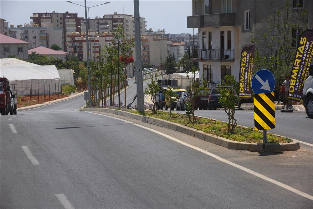 portakal yolları 2 f8f02