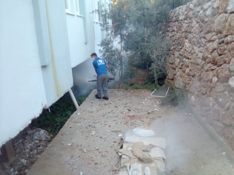 sinek 2 72812750 940749962976043 9029241026904064000 n ae58f