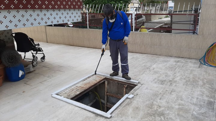 sinekle mücadele 1 94978513 671605327006978 4540189355708252160 n94978513 671605327006978 4540189355708252160 n 3f61a