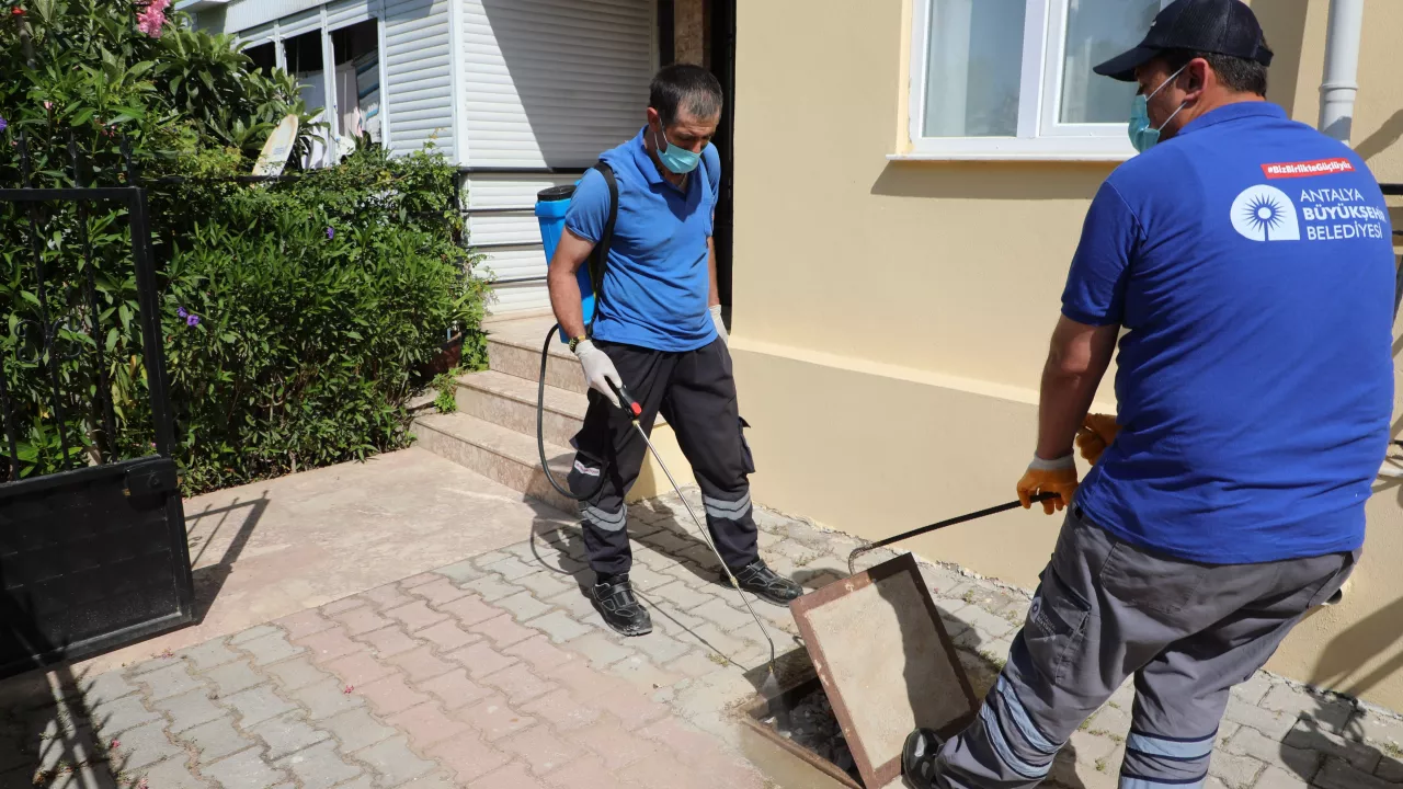 sinekle mücadele 3 5cf78