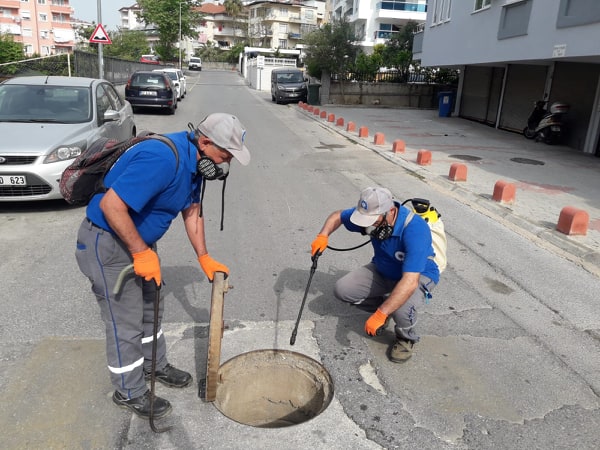 sinekle mücadele 5 94879106 181899966231023 4490944467578126336 n 8c55b