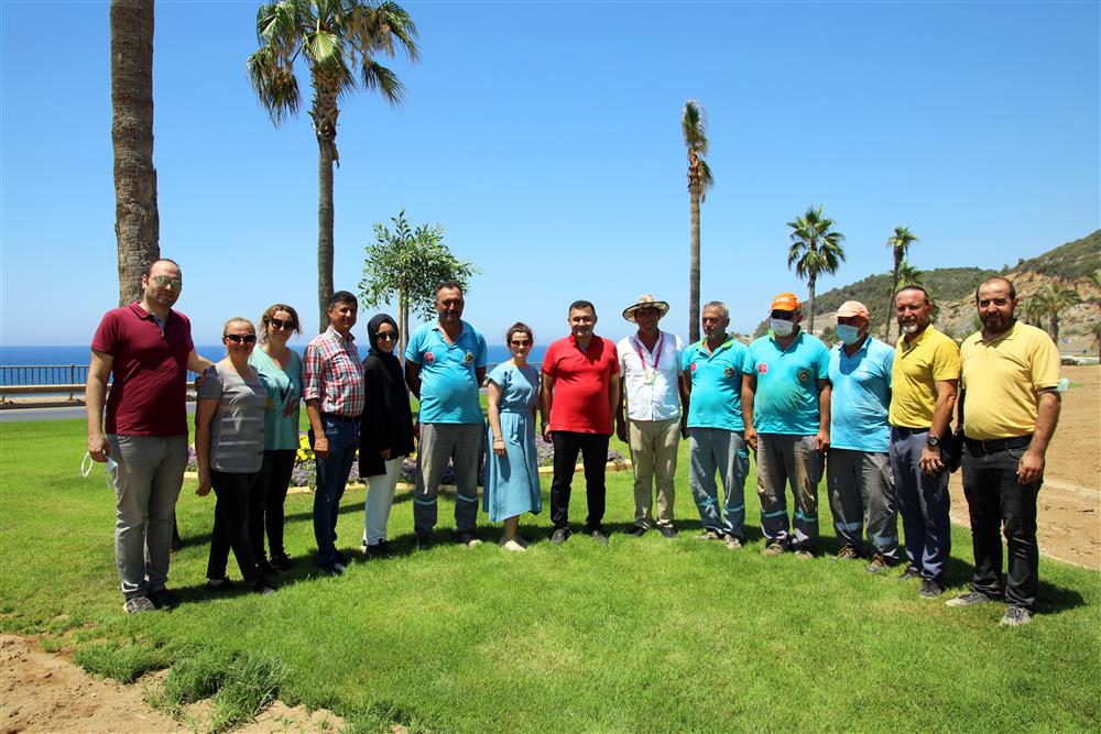 sosyal donatı 4 7e8da