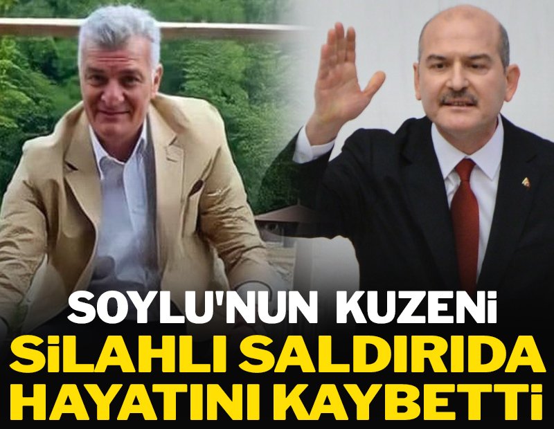 soylu kuzeni öldürüldü 3ac04