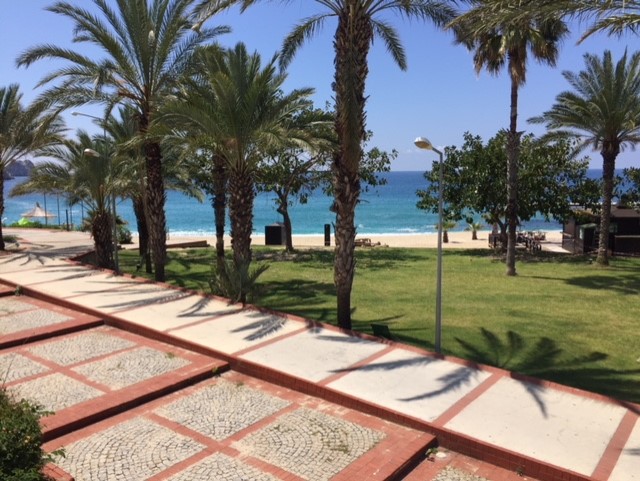 telefreik haberi 5 thumbnail IMG 8081 a25c5