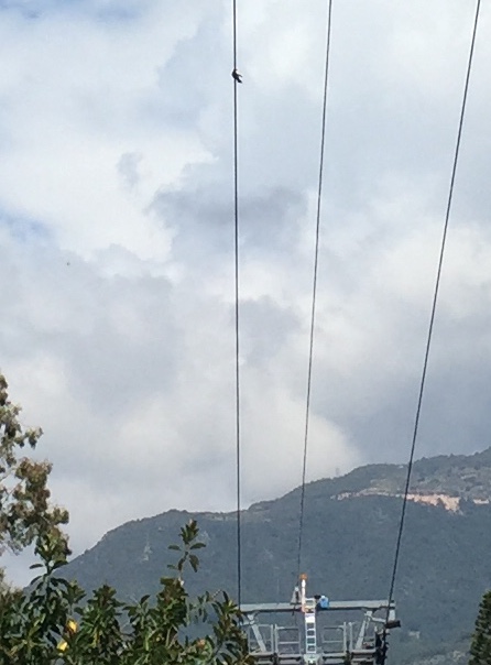 telefreik haberi 2 thumbnail IMG 8083 ca74c