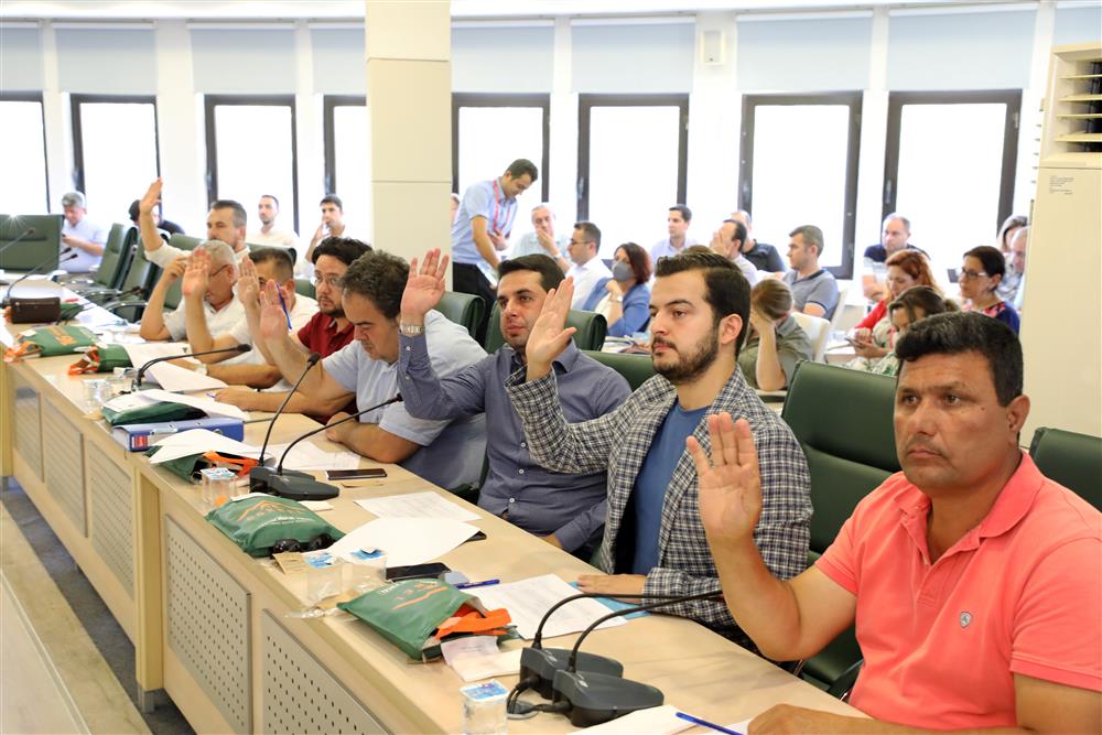 temmuz meclisi 6 ce186