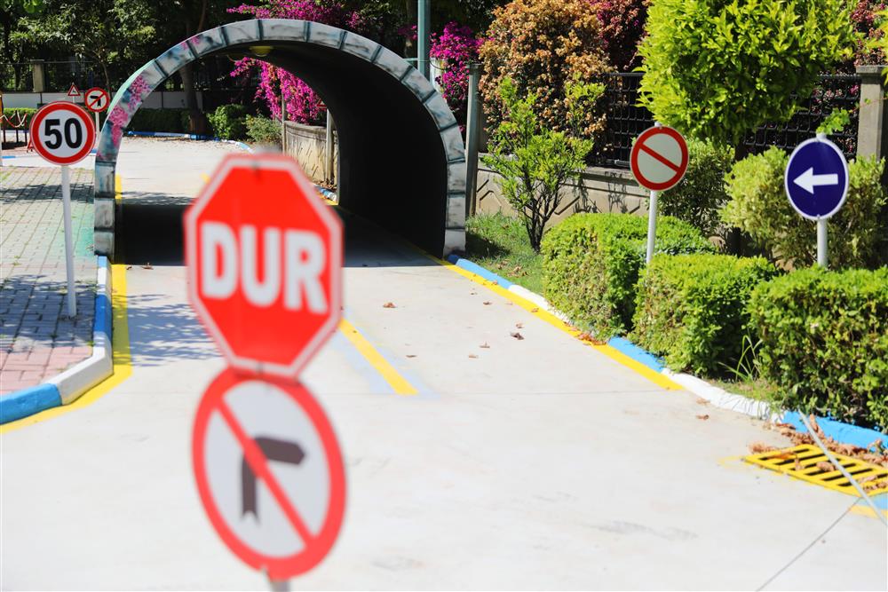 tr 6 458005952682313920 06a50