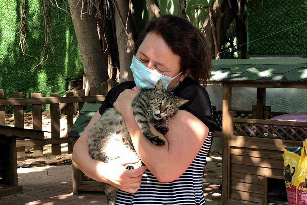 turistlerden kedi sevgisi 3 a8baa