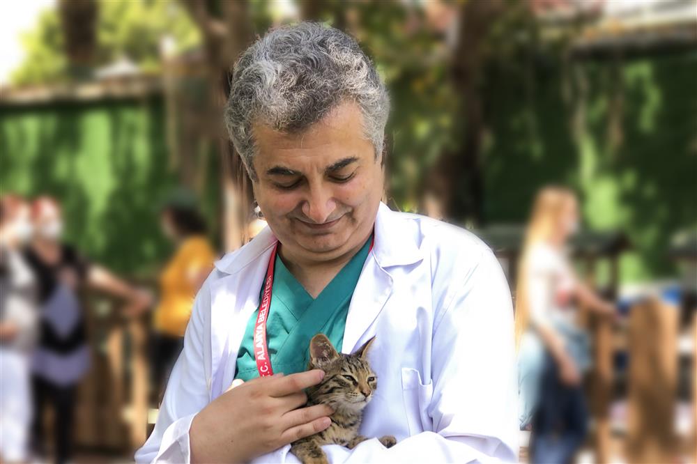 turistlerden kedi sevgisi 4 b2454