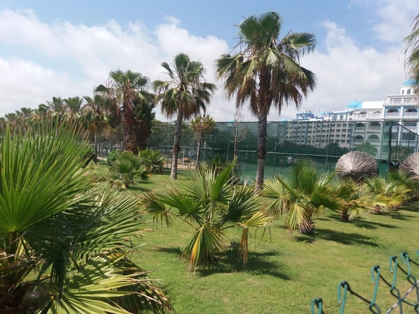 ulualan sahil işgali 3 83137566 564467494264027 3931368110293786310 n 9f4a0