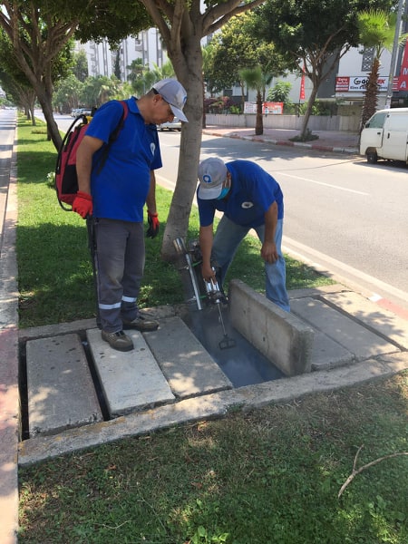 vektörel 2 108069788 668760723984461 9069778401185764492 n 7d446