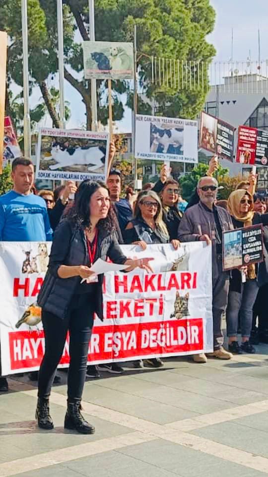 whatsapp gorsel 2022 11 29 saat 172230 f87a0