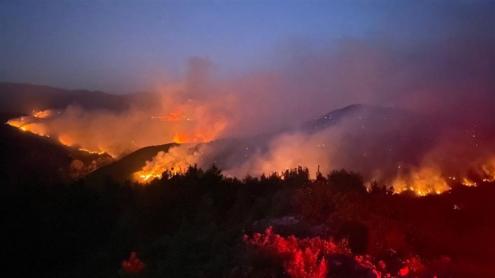 yaraları saracağız 6 e3e48