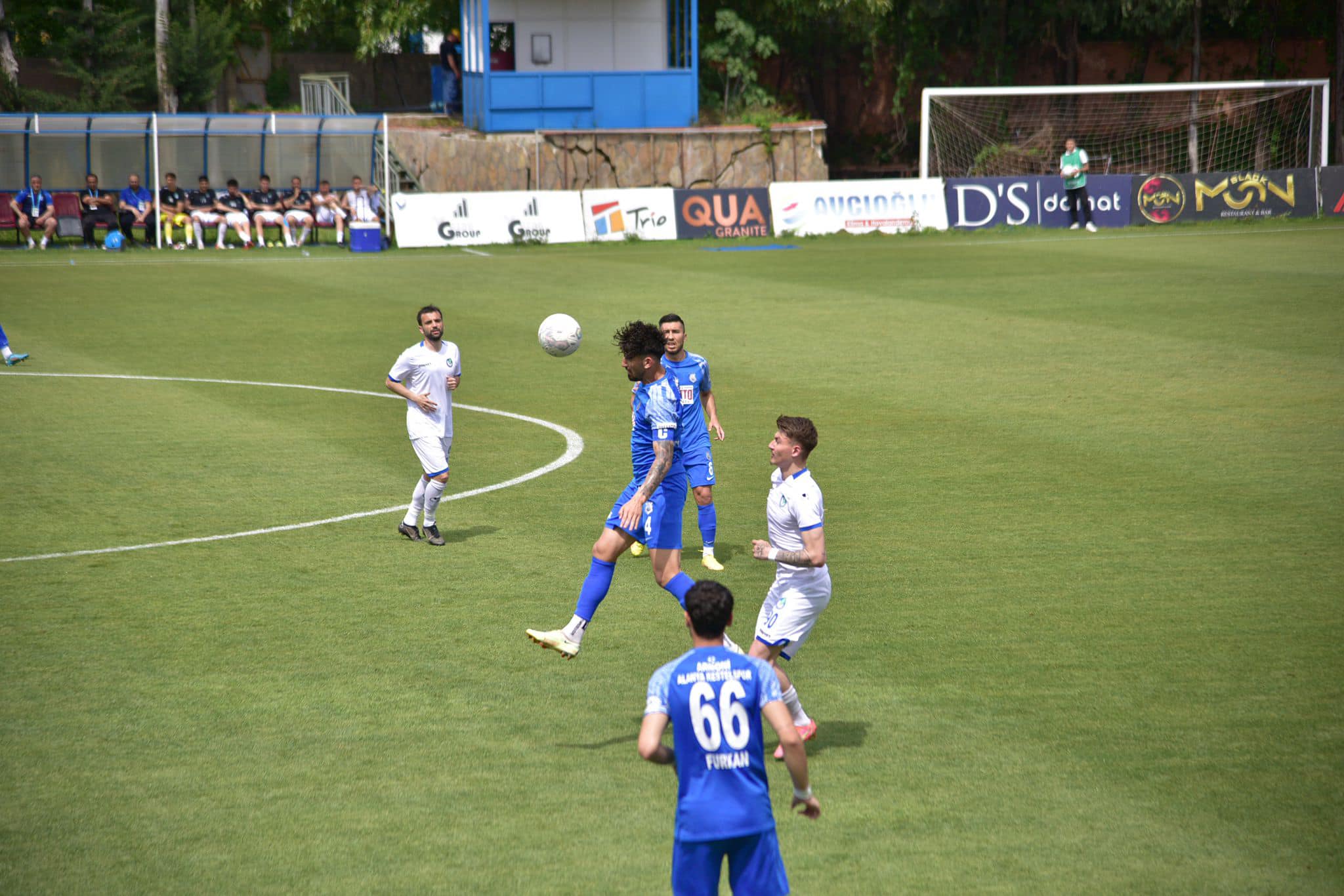 yaralı aslan 2 31bb3