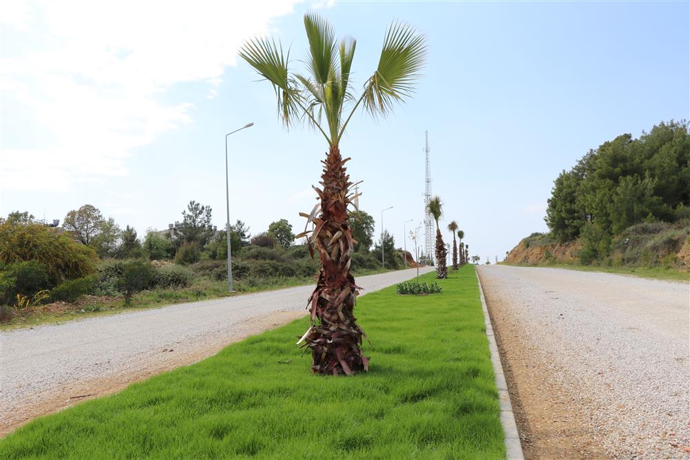 yeşil alanya 2 23218483254647328 25238