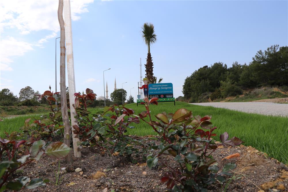 yeşil alanya 3 866887360262096640866887360262096640866887360262096640 ac959