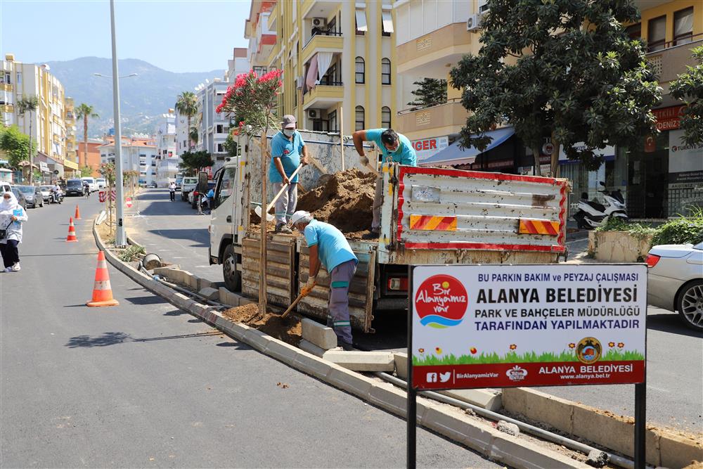 yol tamam 5 peyzaj f366f