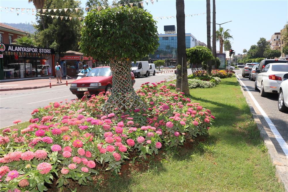 yolda refüj 4 850765632622412544 953d6