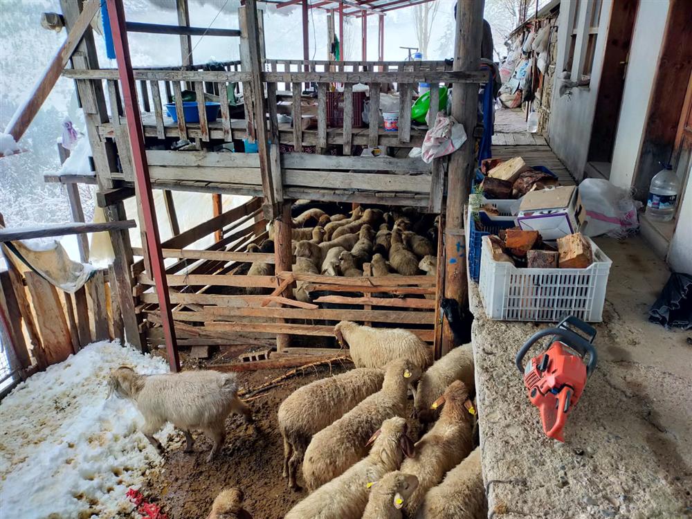 yollarda kaldı 6 b66fc