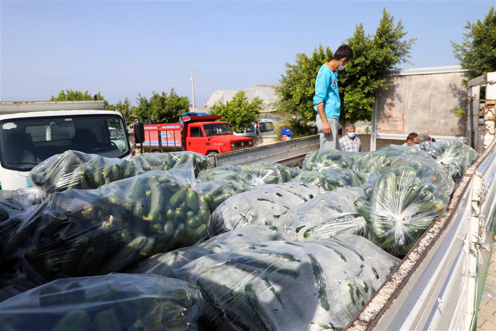 yucelden üreticiye destek 2 ba5ef