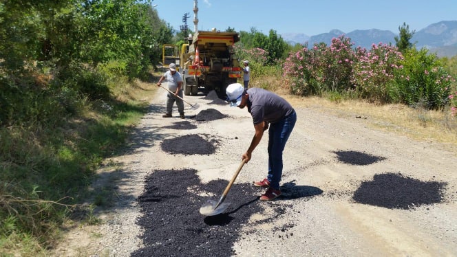 yy 3 107436282 600326617260935 3547179504964828532 n 86995