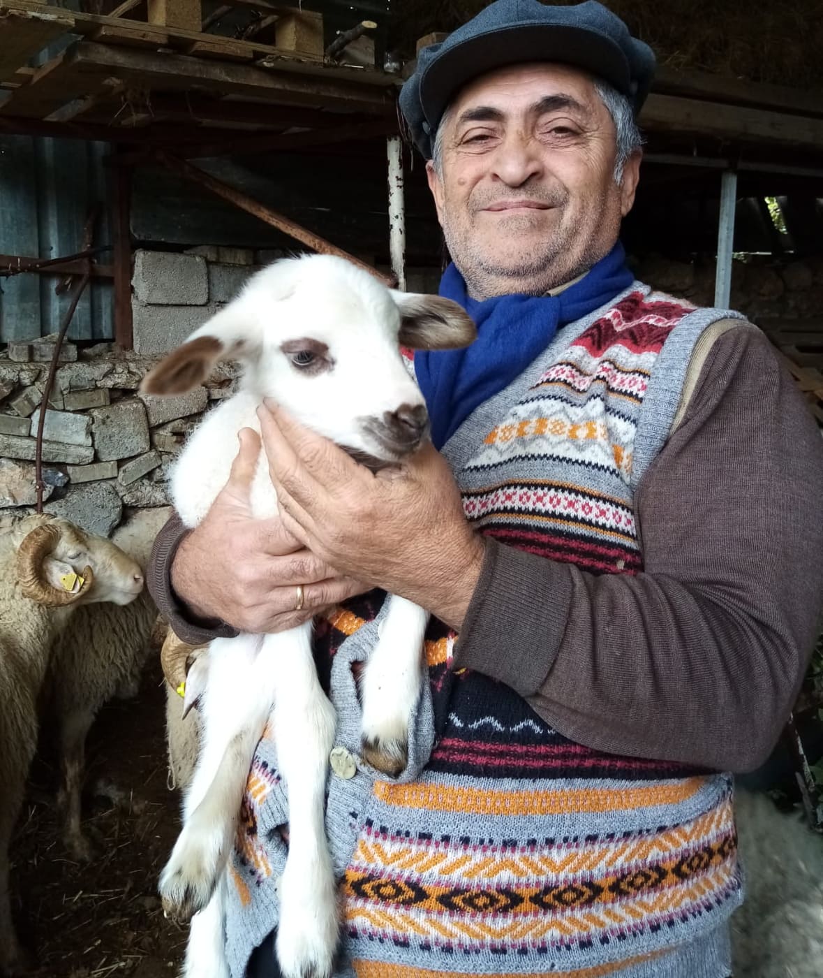 zeki ve kuzu 2 8e19f