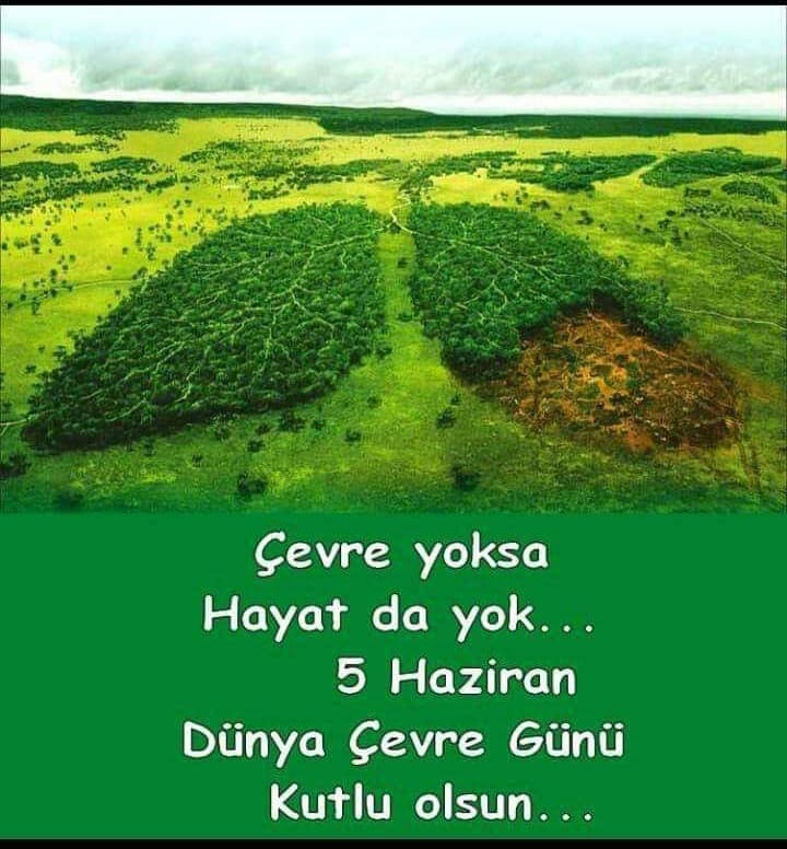 ÇVR102412951 255485472193668 4173958095673753600 n 33752