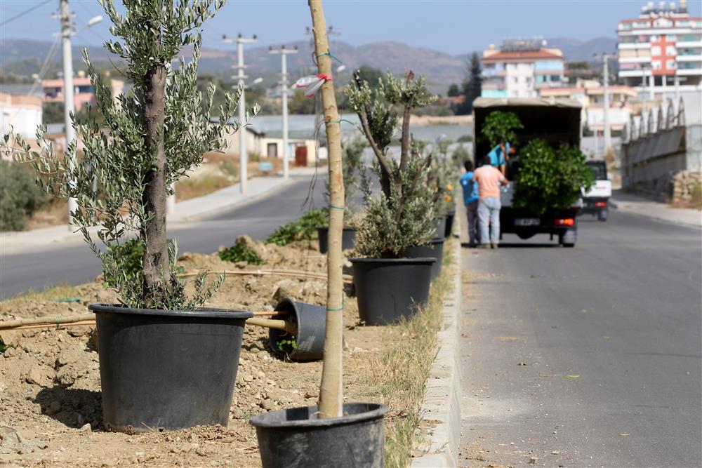 ÇİÇEKEK 2 54363488868735744 269be