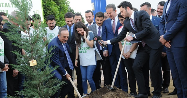 çav.ağaç2.BasYlYksYz 3 2 578d3