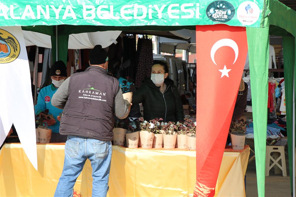 çiçek dağıtımı 3 ce378