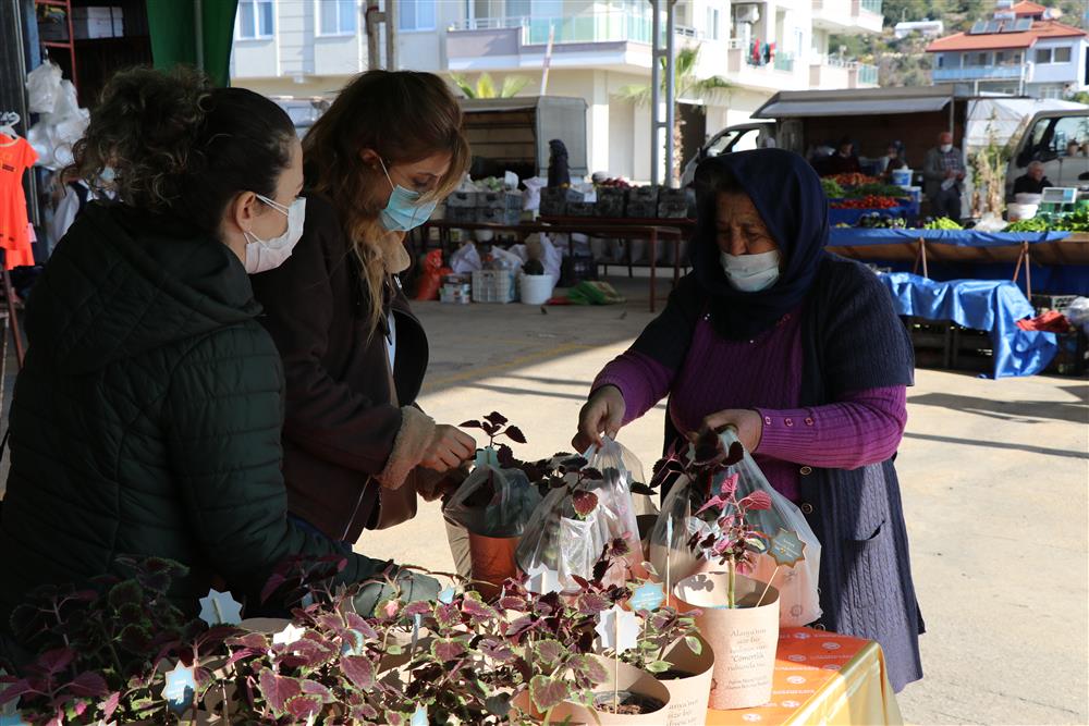 çiçek dağıtımı 4 6eae1