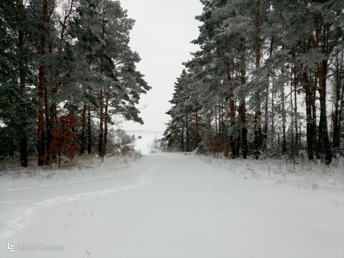 İKİ ÜLKE İKİ ŞEHİR 2 RUSYA132035435 681721312491131 8012083782432908624 n 5fdd0