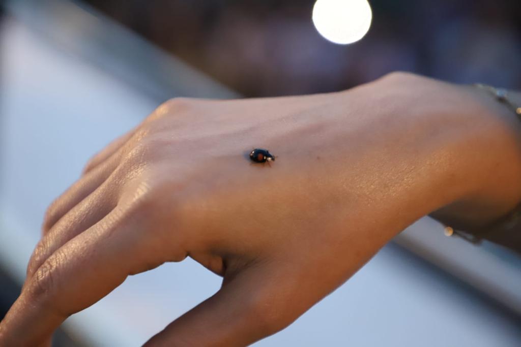 İİİ131561056110 PHOTO 2019 06 20 21 33 19 1 6c972