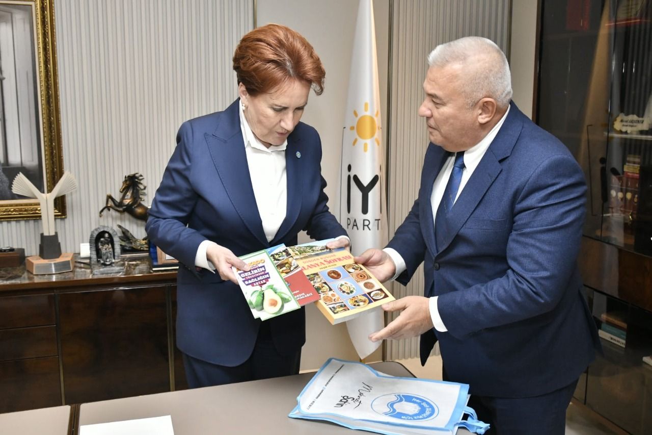 ŞAHİN VE AKŞENER 2 8e7d7