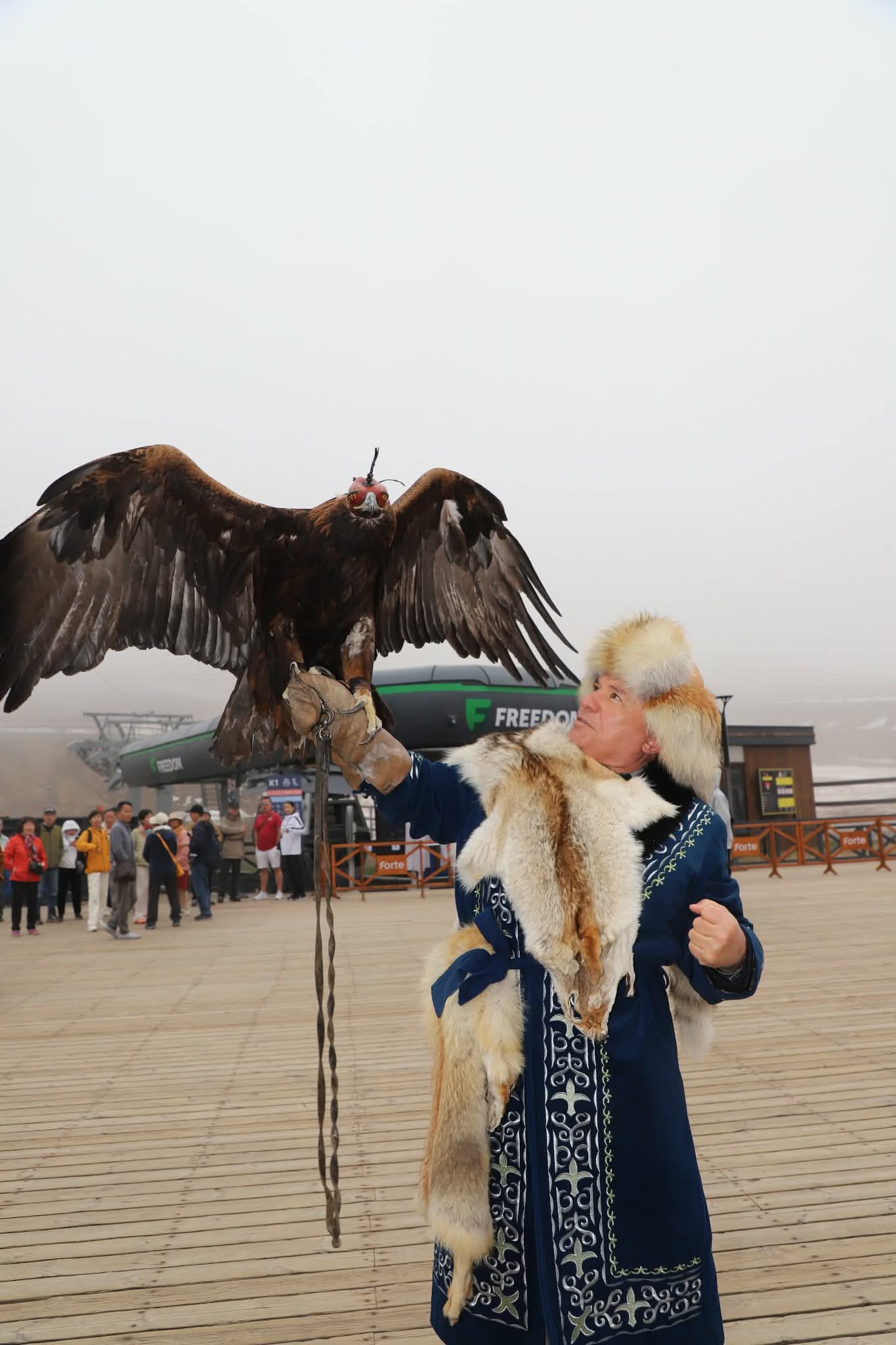 şahin orta asyada 3 685161299 963188423074032 5196099653539891286 n 7bca8