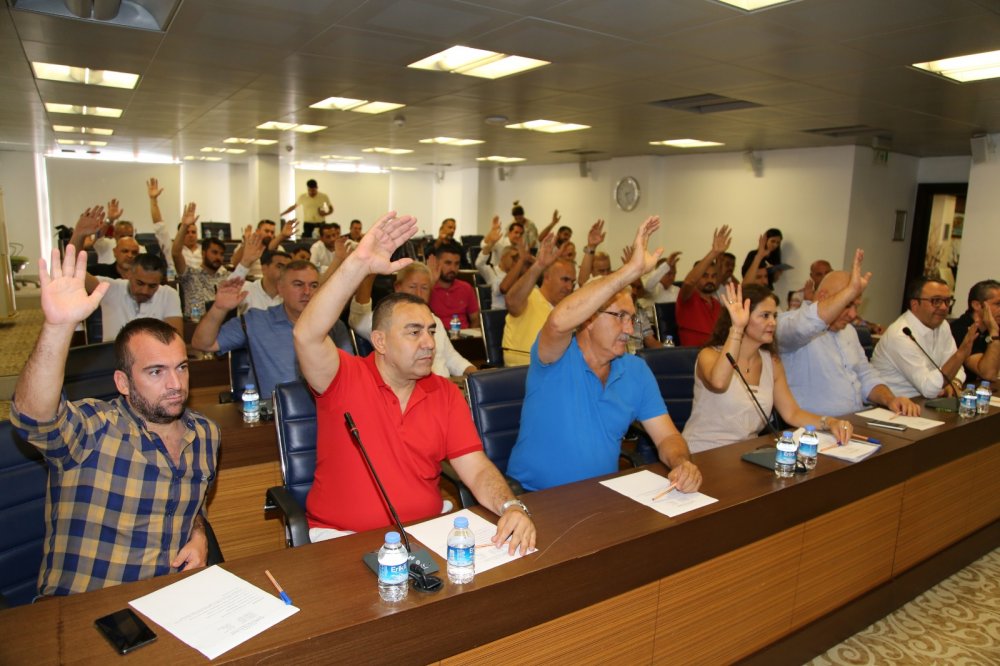 şahinden tomas 3 c7bb9d75 2c48 4bff accd c5adb9975a73 2fe07