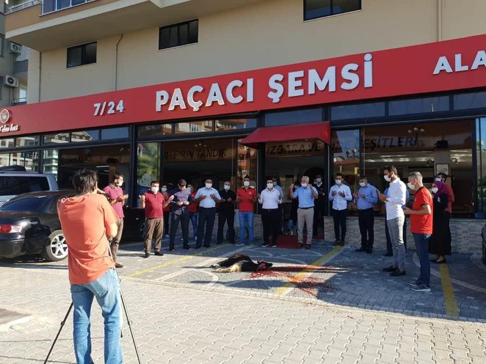 şemsi 2 101376094 550453519175187 9161602852290822144 n a9f67