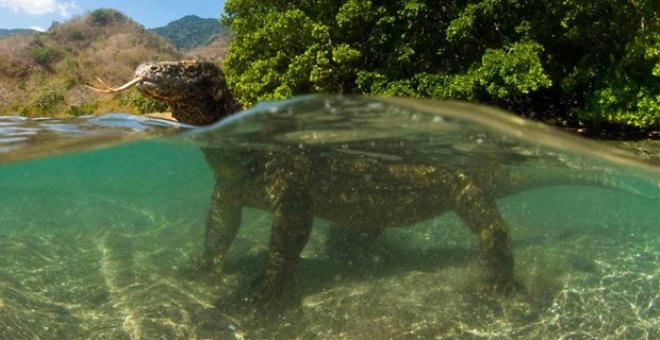 turistlerin bu adaya girmesi yasaklandi 714350 9487 1 b 80543